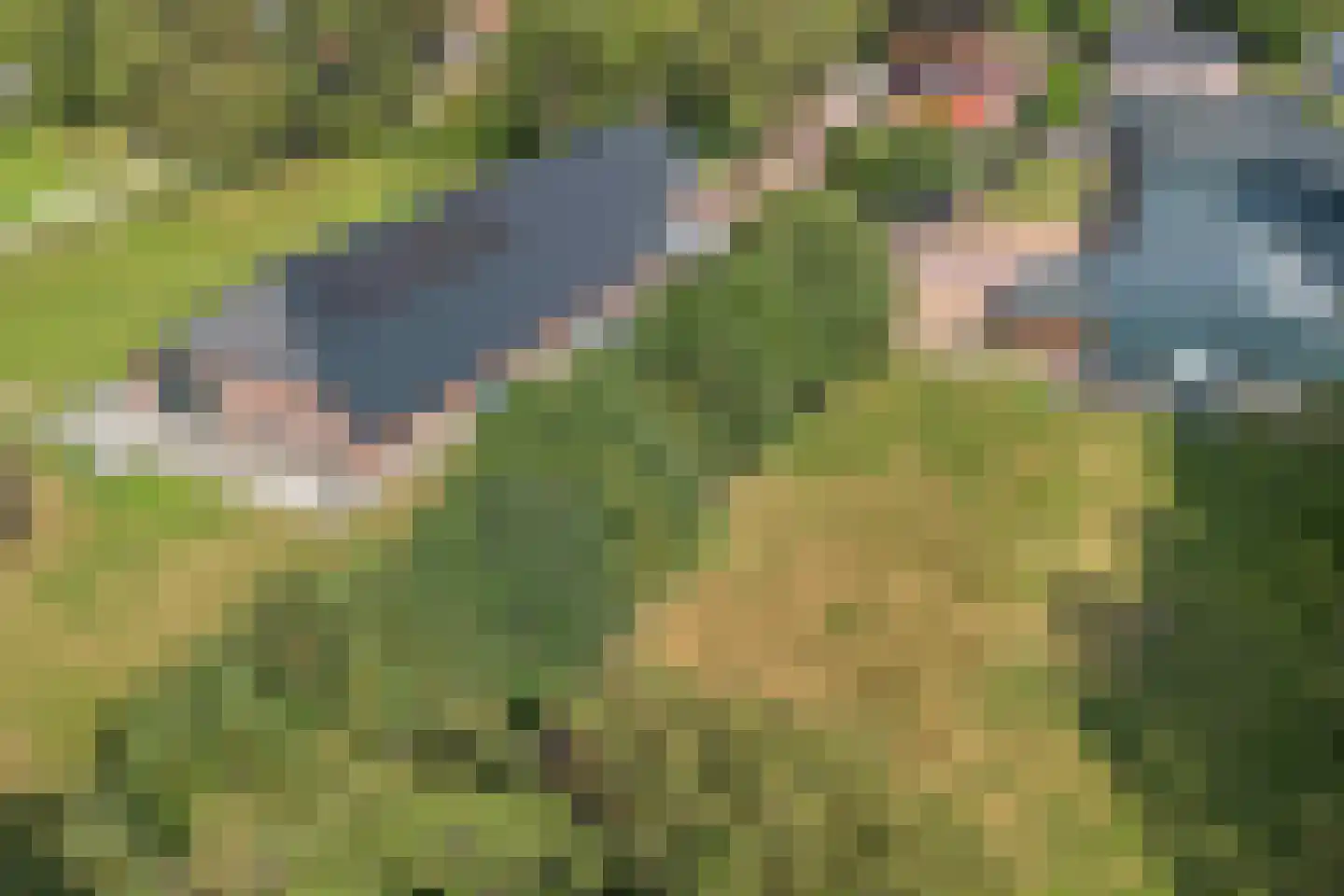 Het Loeg 41 Muntendam thumbnail 62