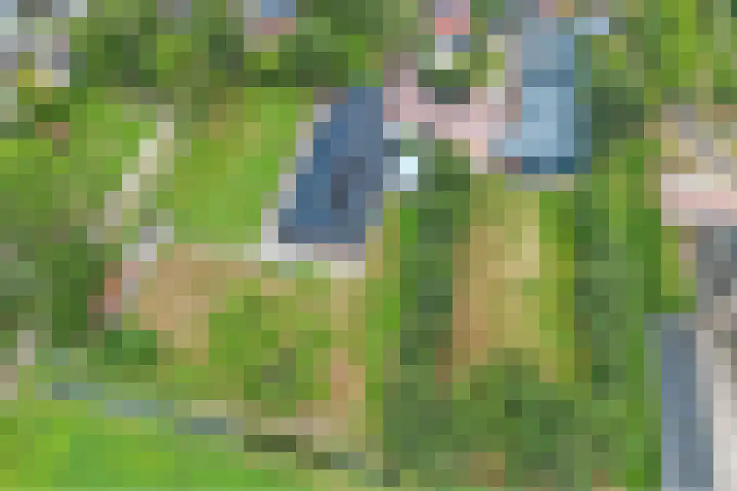 Het Loeg 41 Muntendam thumbnail 64
