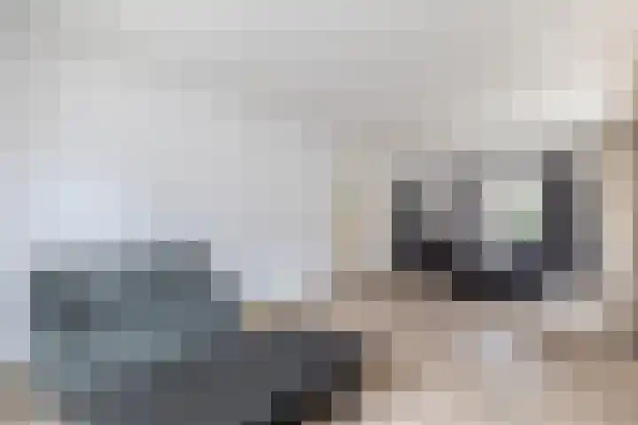 Het Loeg 48 Muntendam thumbnail 13