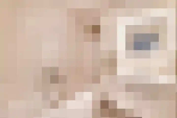 Het Loeg 48 Muntendam thumbnail 21