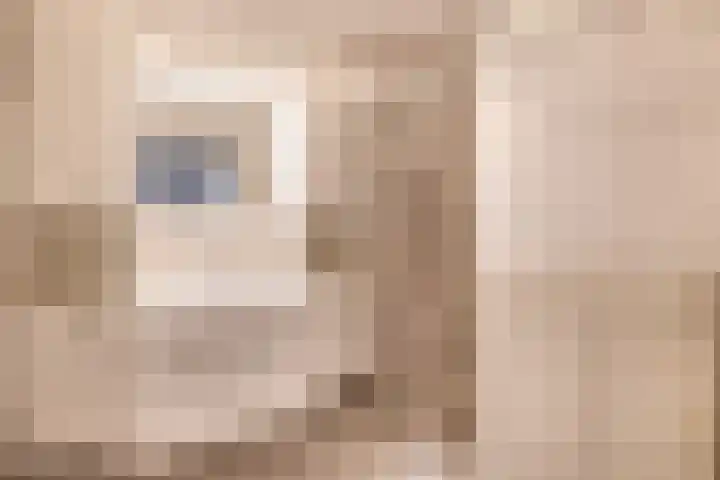 Het Loeg 48 Muntendam thumbnail 22