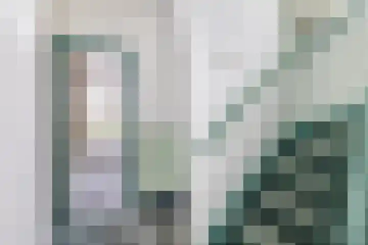 Het Loeg 48 Muntendam thumbnail 23