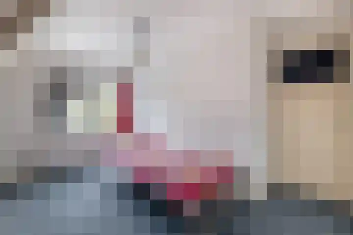 Het Loeg 48 Muntendam thumbnail 29
