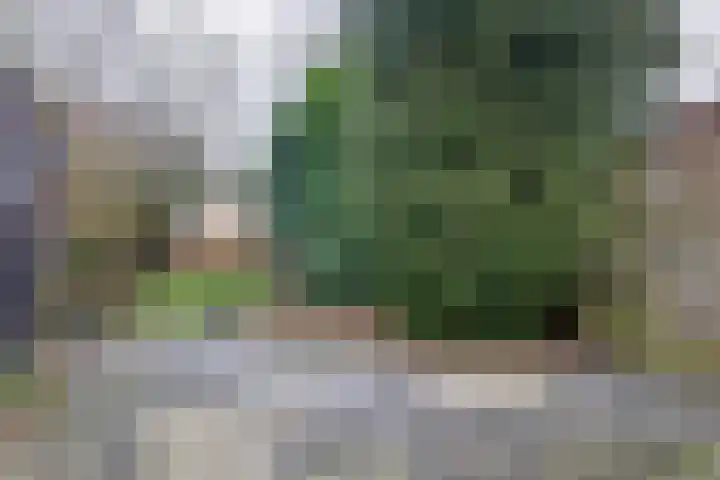 Het Loeg 48 Muntendam thumbnail 36