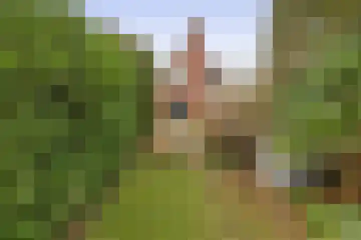 Het Loeg 48 Muntendam thumbnail 39