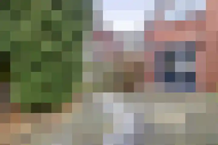 Het Loeg 48 Muntendam thumbnail 40