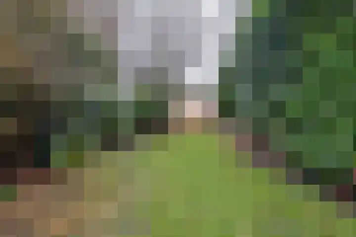 Het Loeg 48 Muntendam thumbnail 5