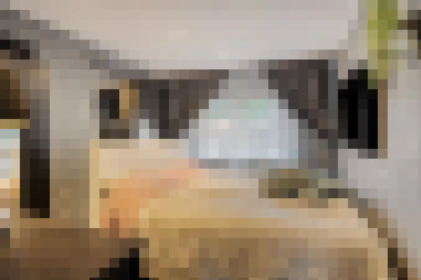 Het Loeg 8 Muntendam thumbnail 11