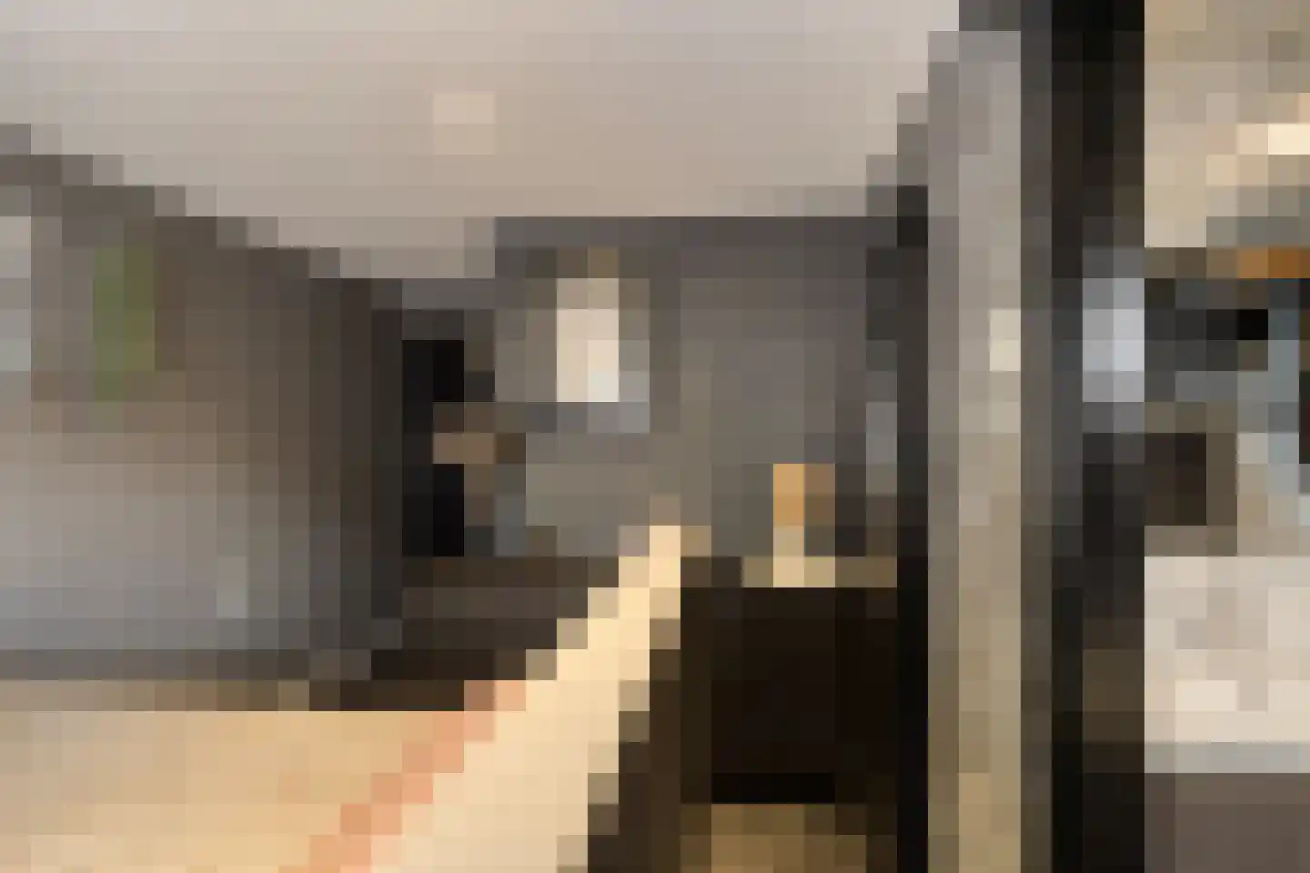 Het Loeg 8 Muntendam thumbnail 12