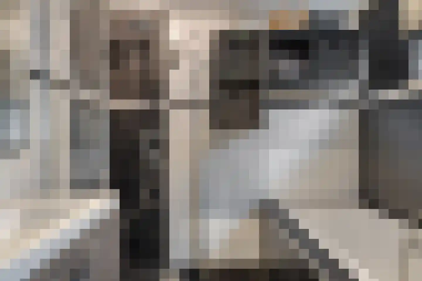Het Loeg 8 Muntendam thumbnail 13