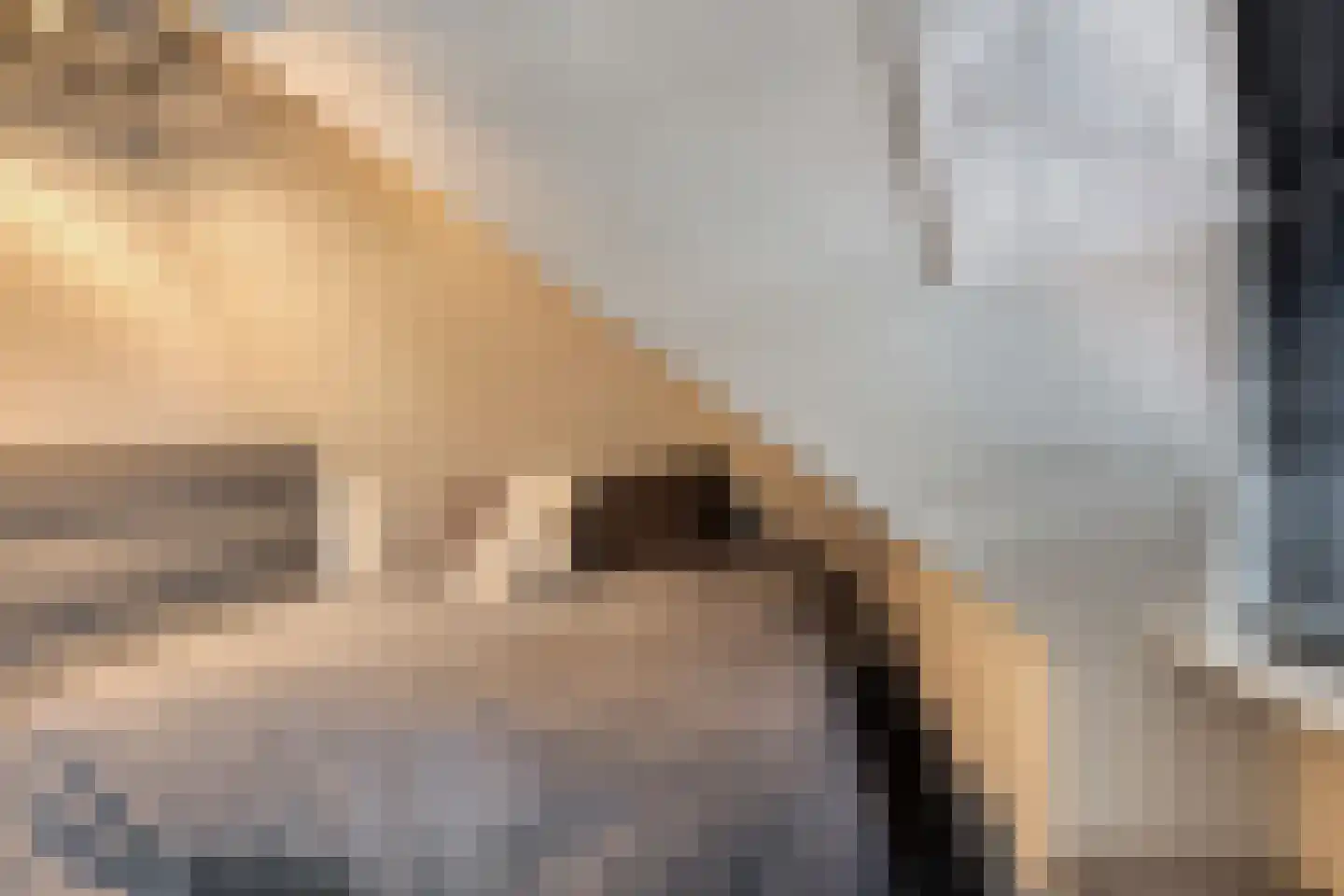Het Loeg 8 Muntendam thumbnail 17