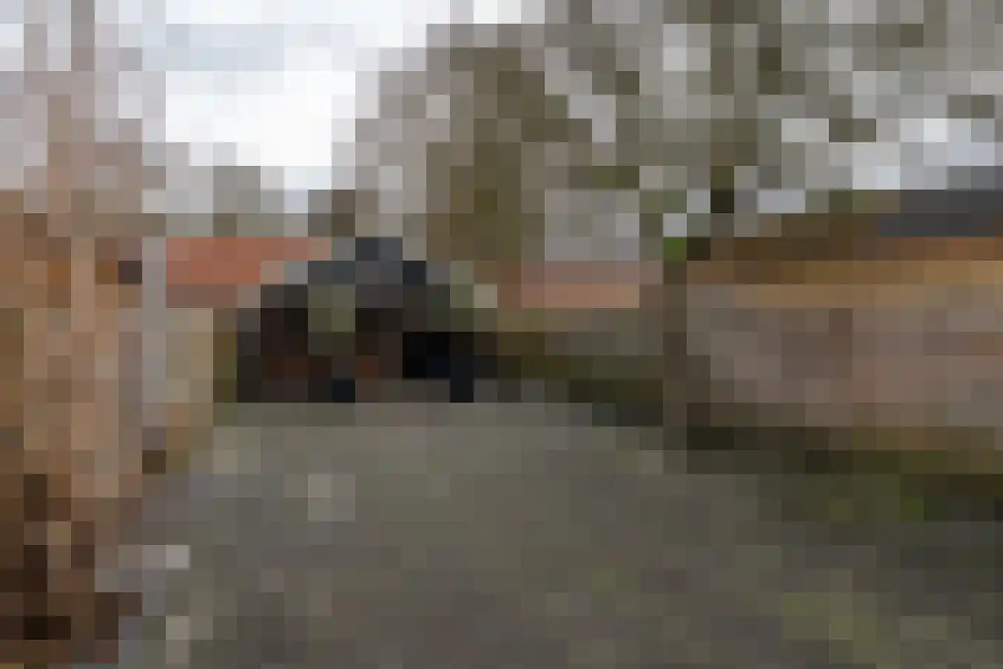 Het Loeg 8 Muntendam thumbnail 19