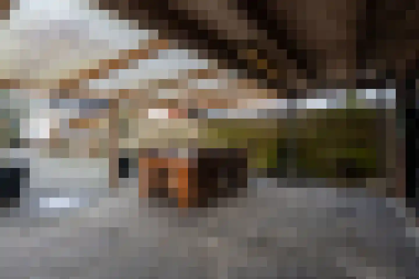 Het Loeg 8 Muntendam thumbnail 20