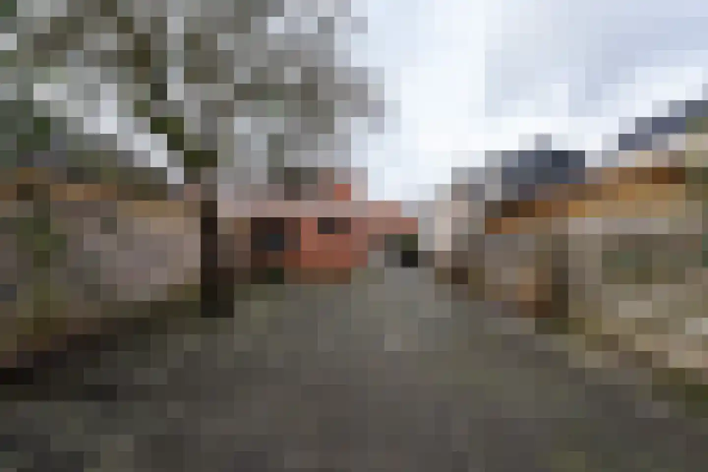 Het Loeg 8 Muntendam thumbnail 22