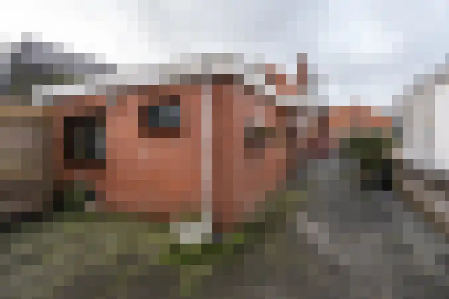 Het Loeg 8 Muntendam thumbnail 24