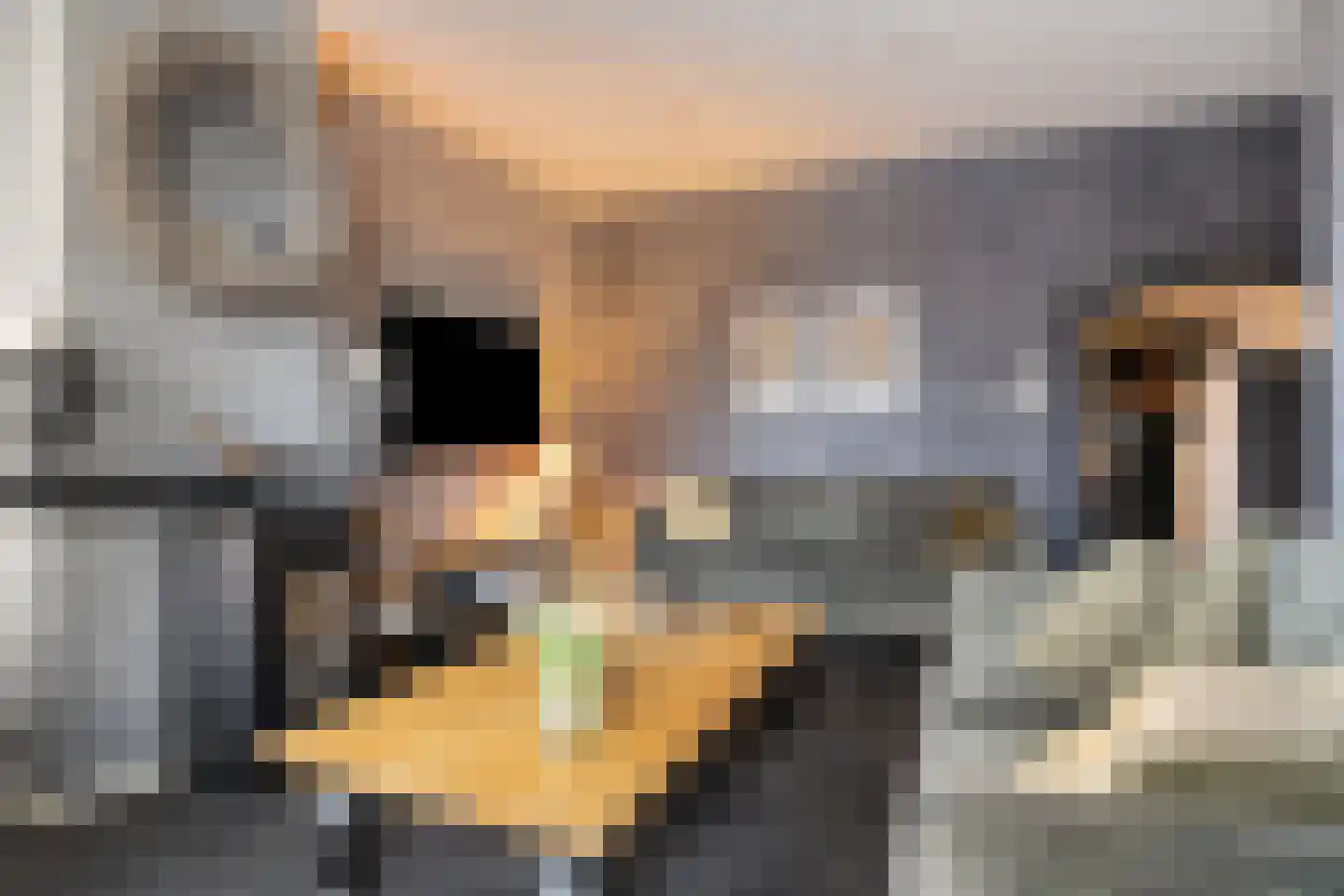 Het Loeg 8 Muntendam foto 3