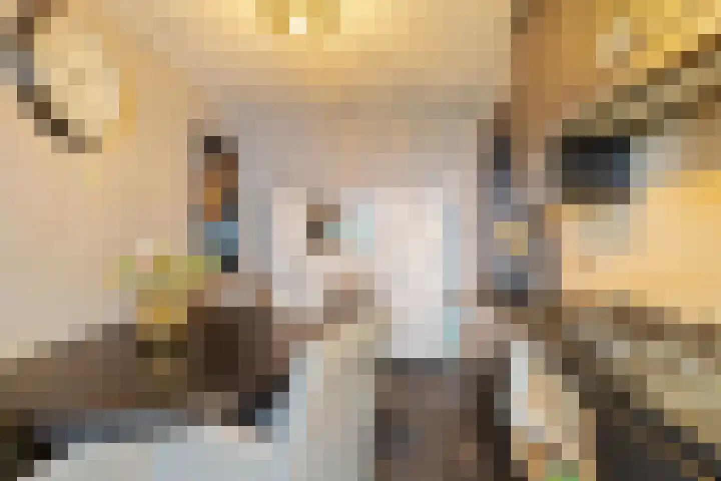 Het Loeg 8 Muntendam thumbnail 8