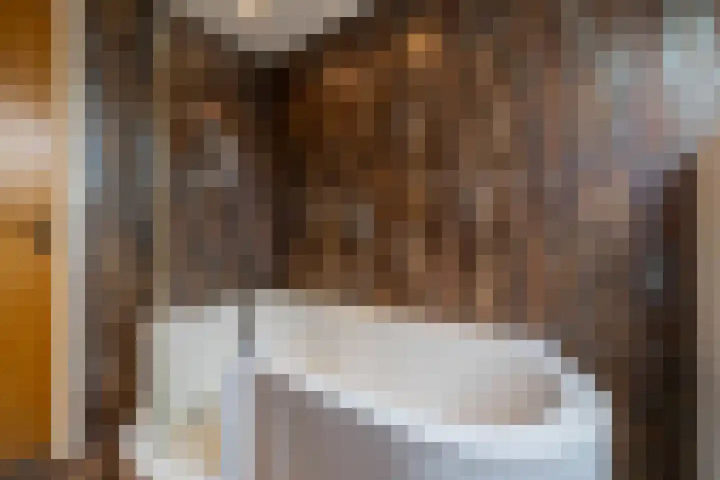 Het Loo 1 Almelo thumbnail 25