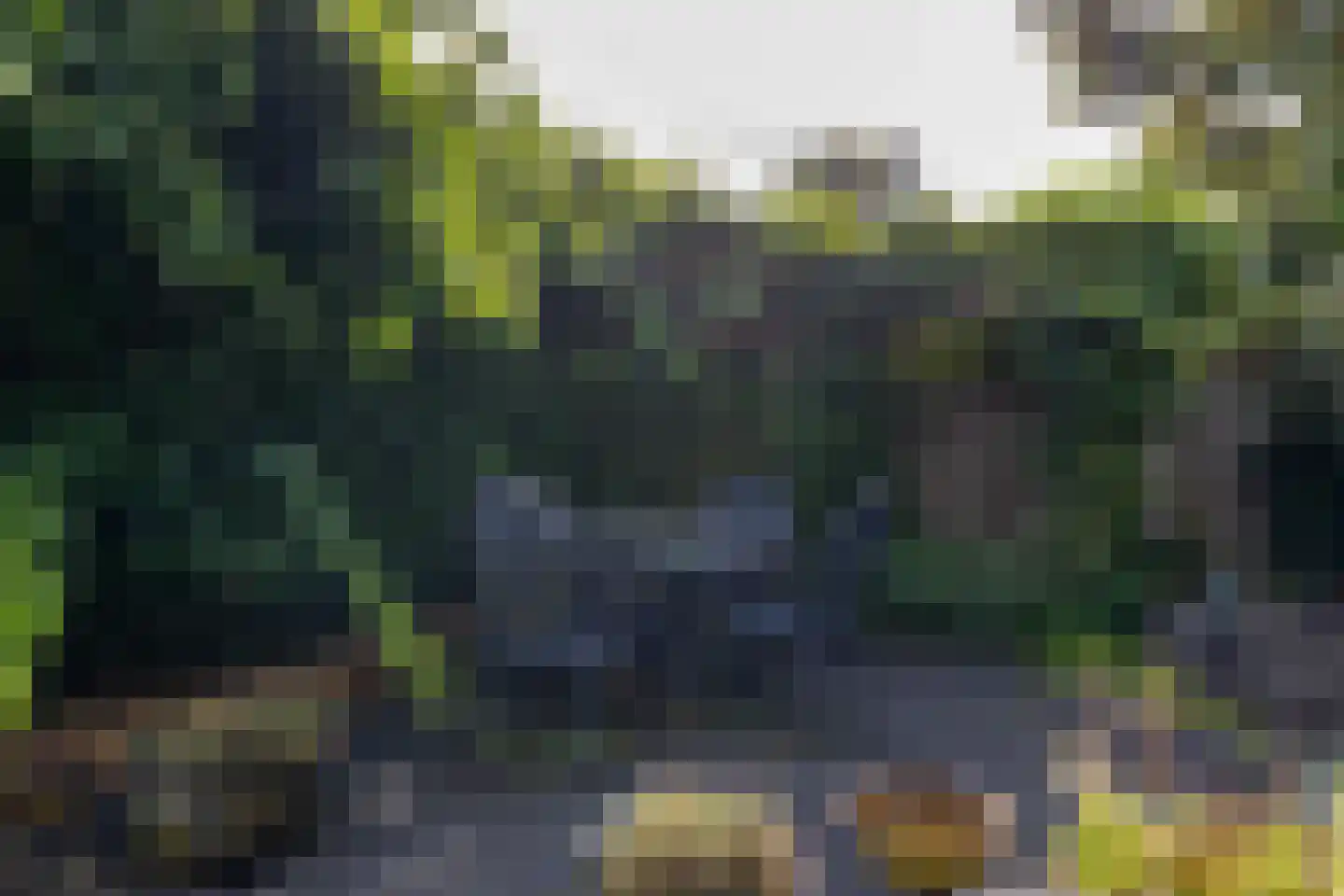 Het Loo 1 Almelo thumbnail 28