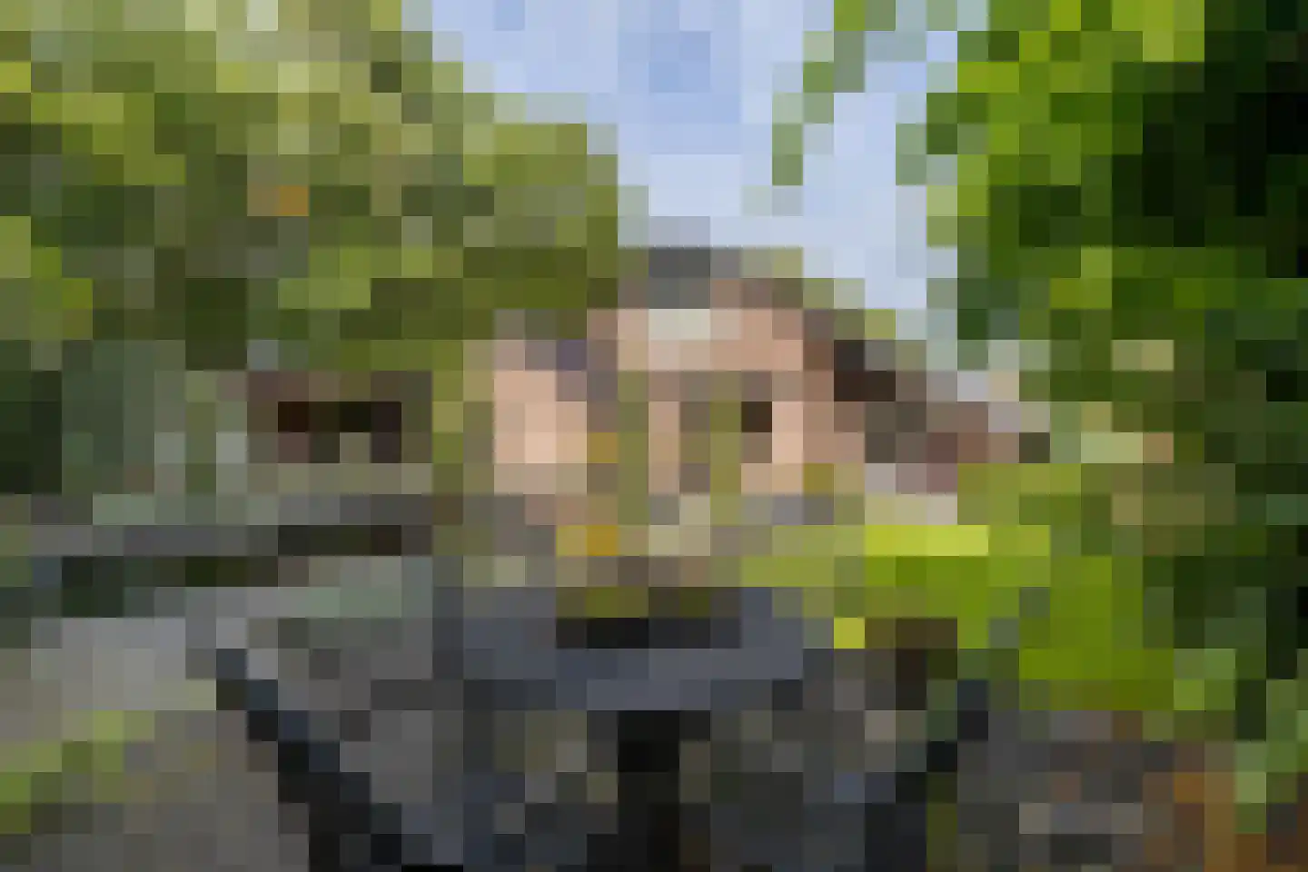Het Loo 1 Almelo thumbnail 29