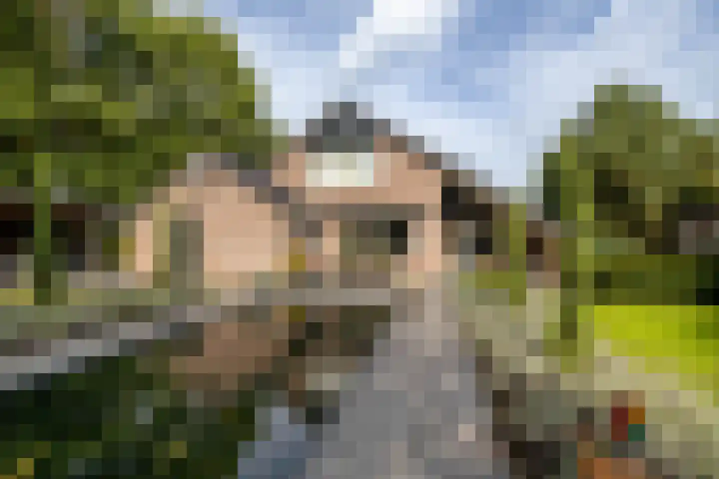 Het Loo 1 Almelo foto 3