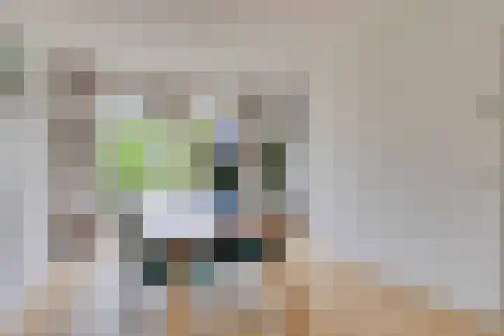 Het Loo 10 Almelo thumbnail 16