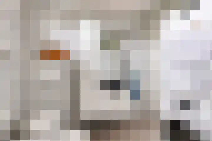 Het Loo 10 Almelo thumbnail 30