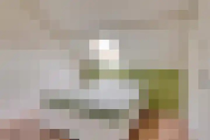 Het Loo 10 Almelo thumbnail 36