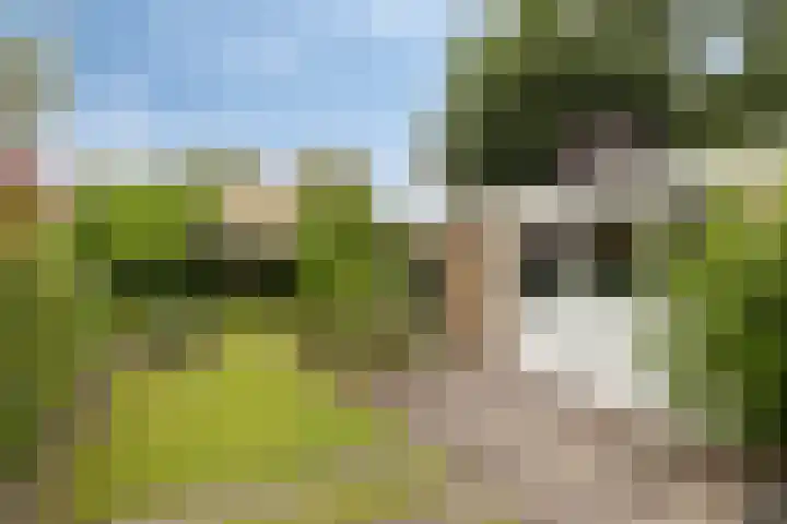 Het Loo 10 Almelo thumbnail 40