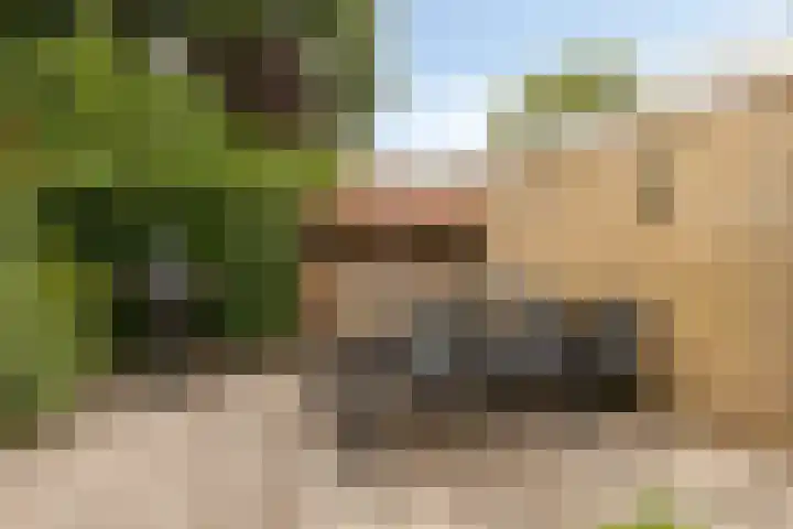 Het Loo 10 Almelo thumbnail 41