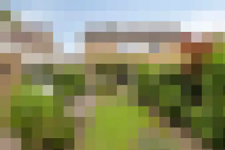 Het Loo 10 Almelo thumbnail 42