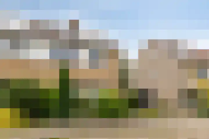 Het Loo 10 Almelo thumbnail 44