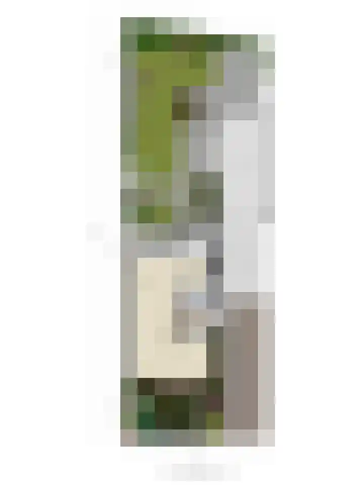 Het Loo 10 Almelo thumbnail 45