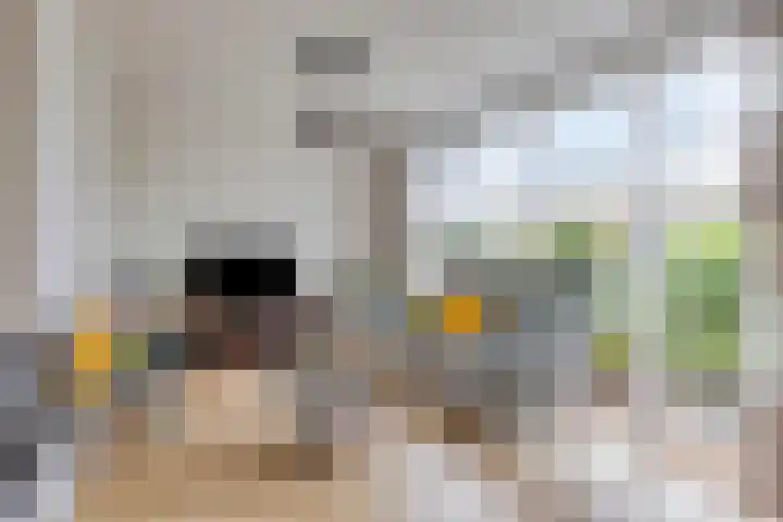 Het Loo 10 Almelo thumbnail 7