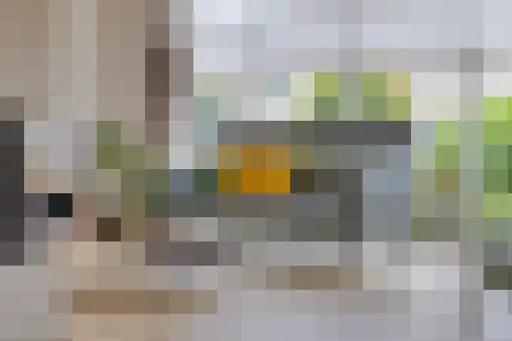 Het Loo 10 Almelo thumbnail 8