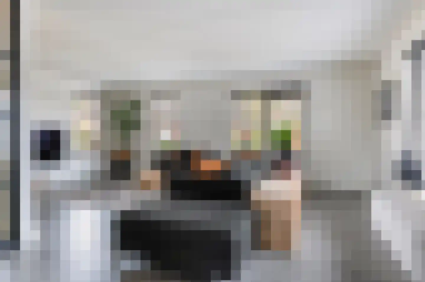 Het Loo 19 Wierden thumbnail 10