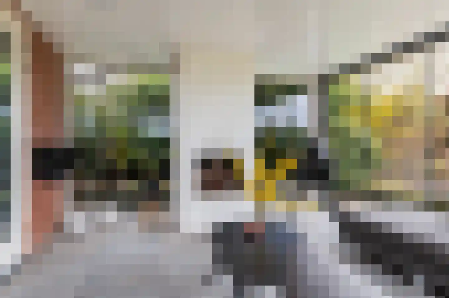 Het Loo 19 Wierden thumbnail 25
