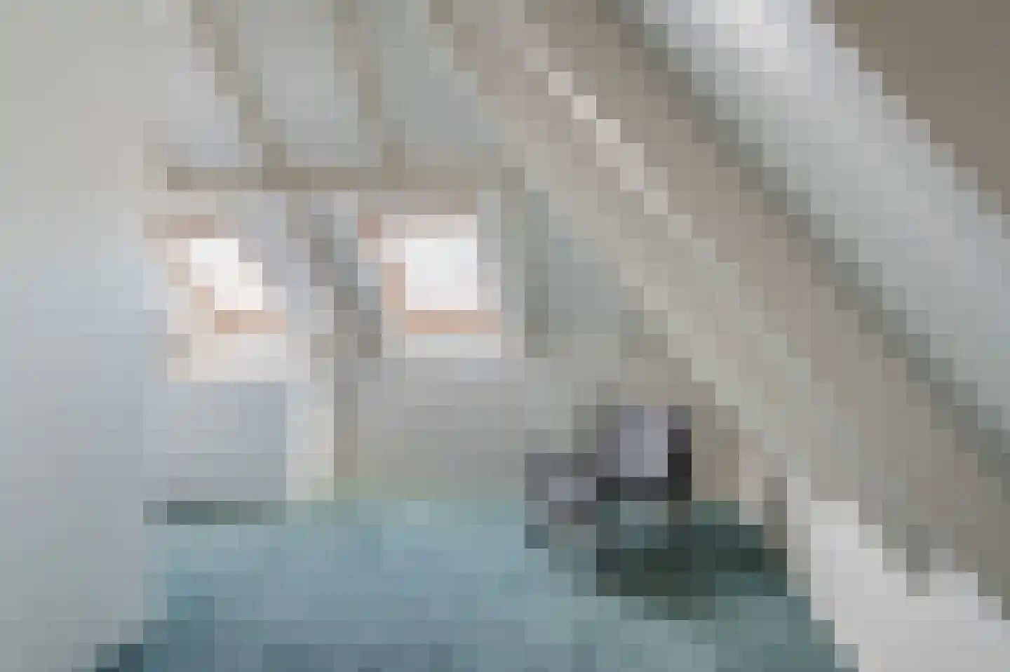 Het Loo 19 Wierden thumbnail 43