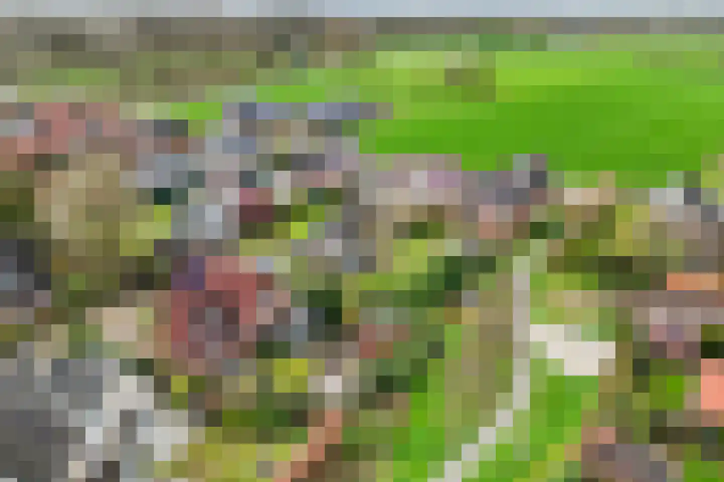 Het Loo 19 Wierden thumbnail 50