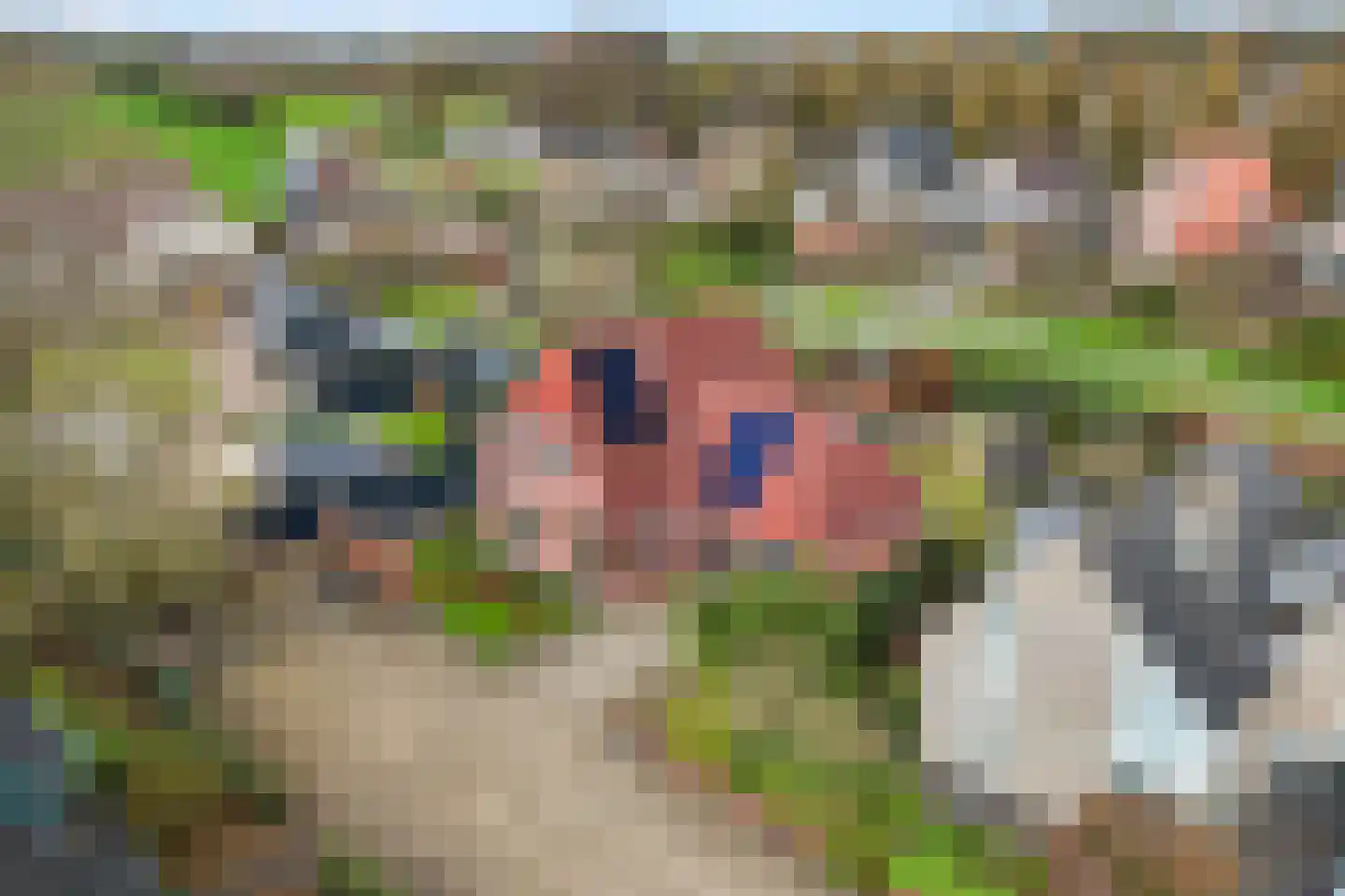 Het Loo 19 Wierden thumbnail 51