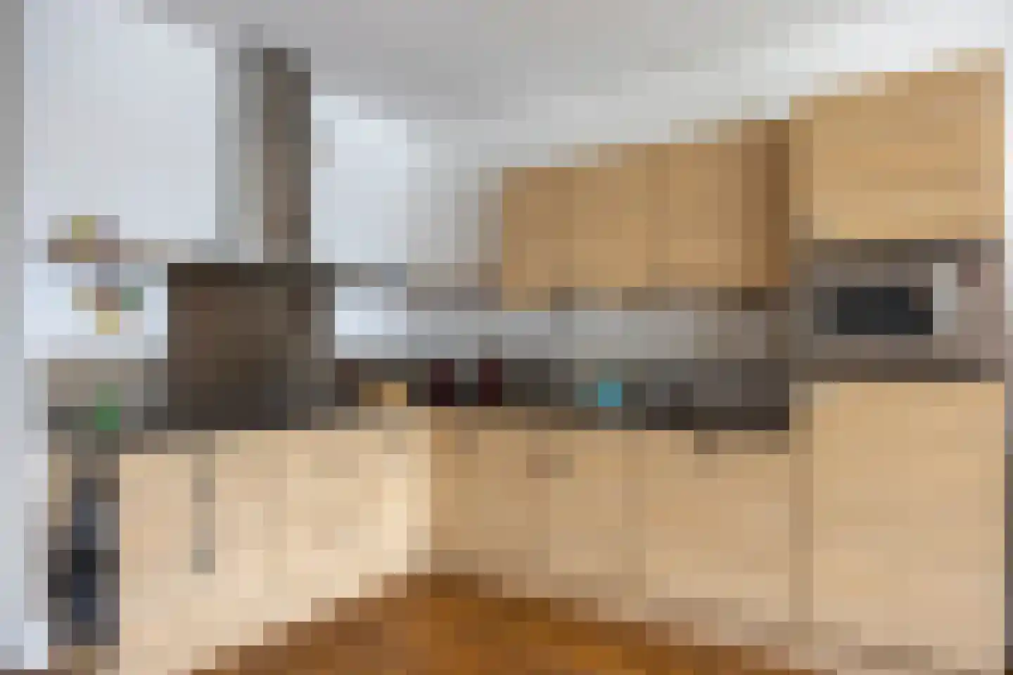 Het Loo 3 Bleiswijk thumbnail 13