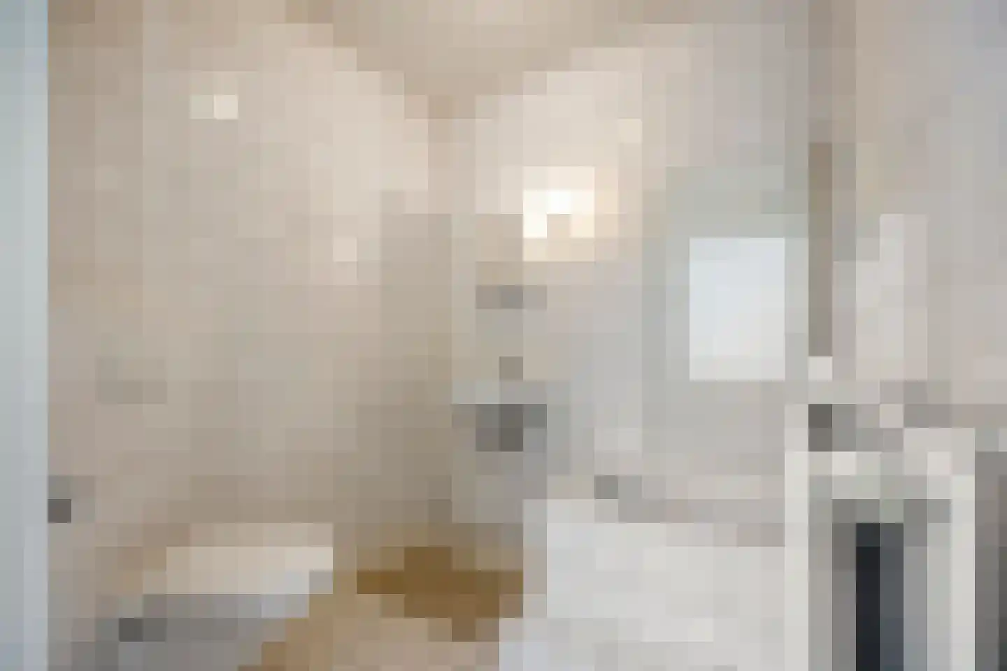Het Loo 3 Bleiswijk thumbnail 18