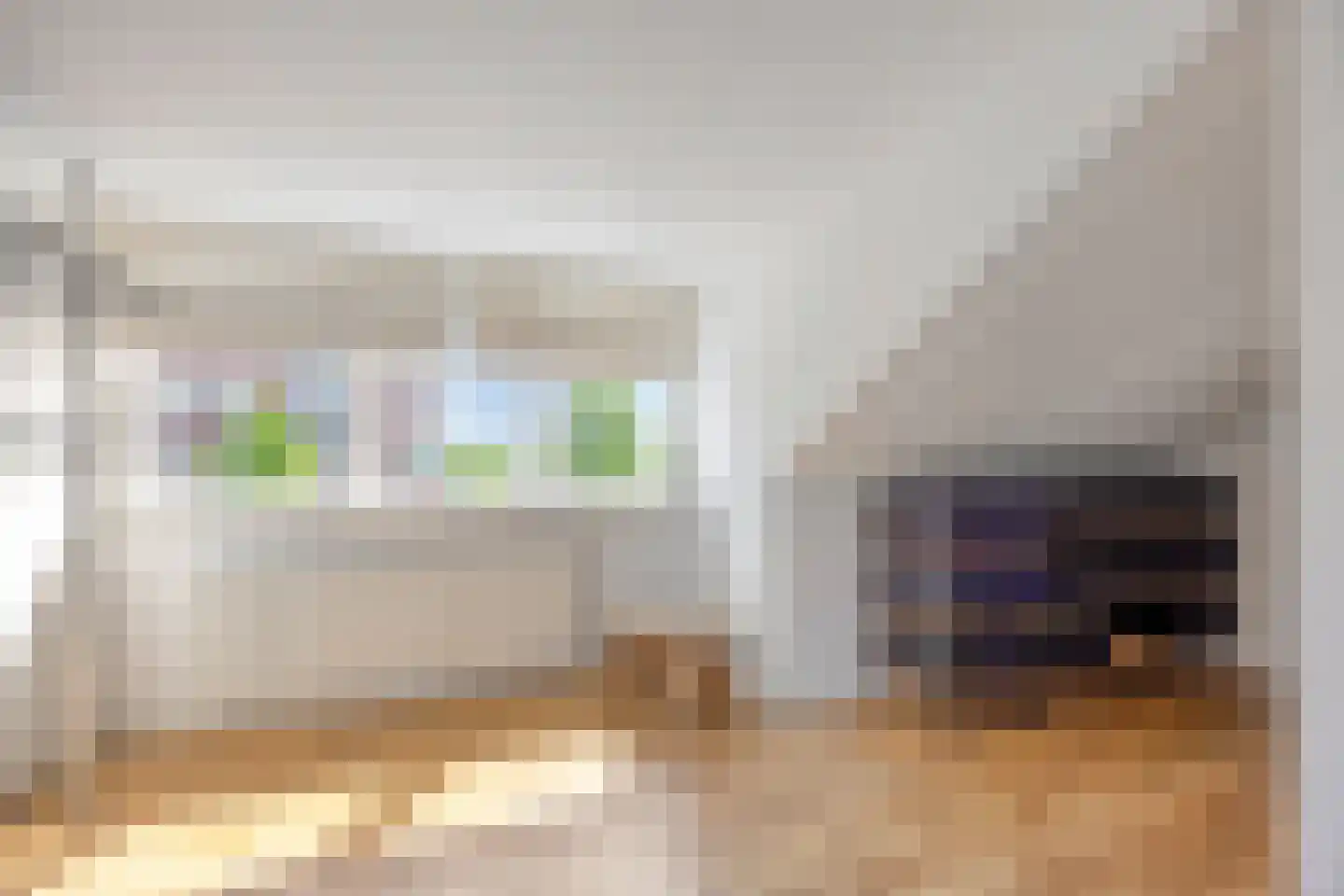 Het Loo 3 Bleiswijk thumbnail 25