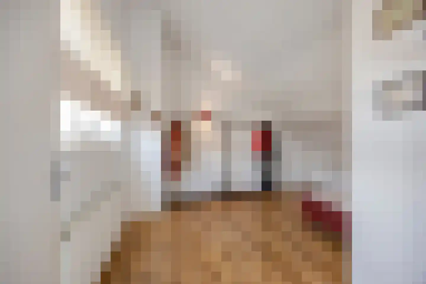 Het Loo 3 Bleiswijk thumbnail 26