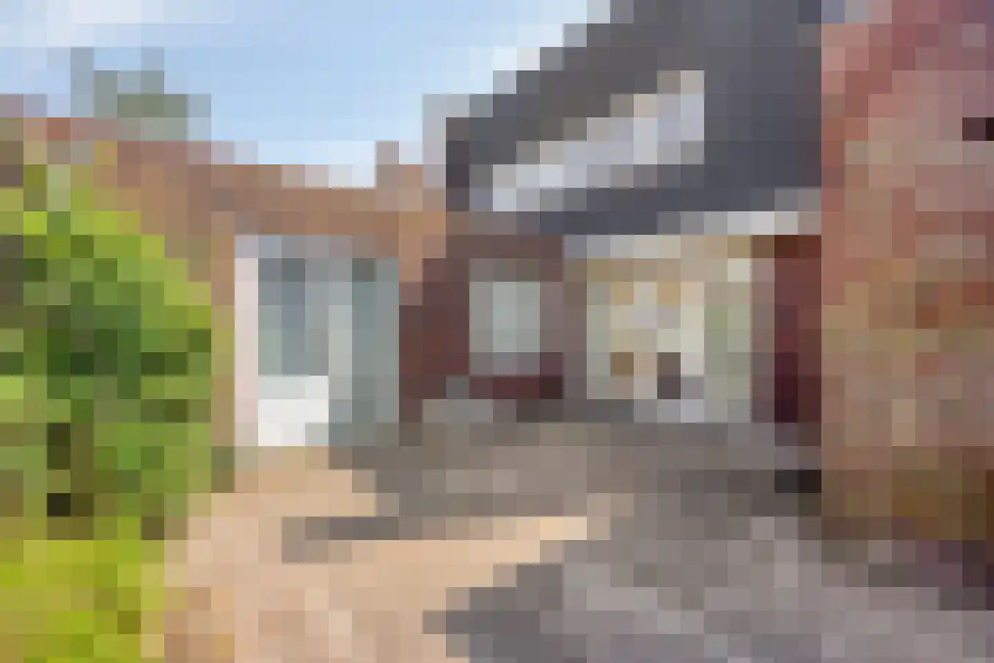 Het Loo 3 Bleiswijk thumbnail 29