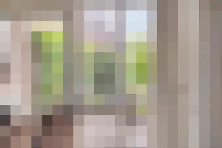 Het Loo 39 Almelo thumbnail 12
