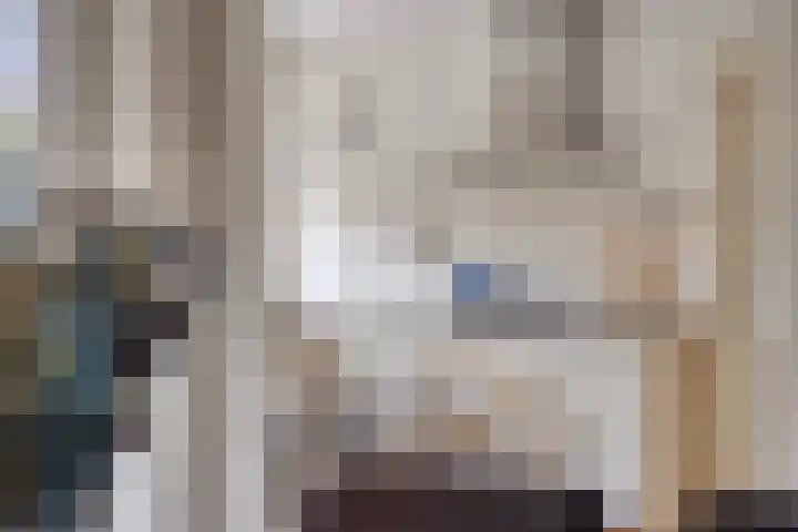 Het Loo 39 Almelo thumbnail 13