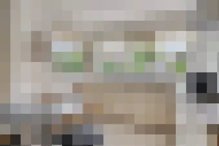 Het Loo 39 Almelo thumbnail 15