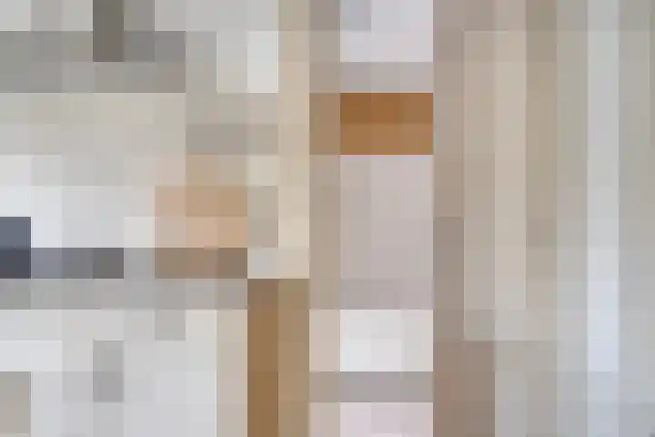 Het Loo 39 Almelo thumbnail 17