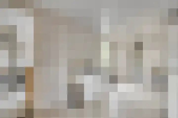 Het Loo 39 Almelo thumbnail 18